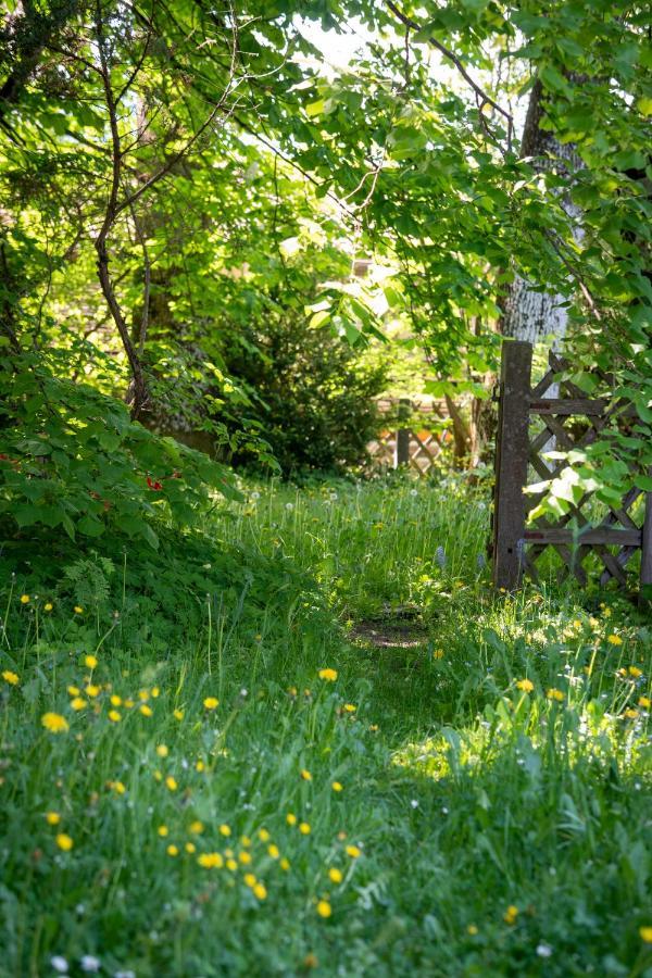 Landhauswohnung Mit Wildromantischem Garten Füssen Εξωτερικό φωτογραφία